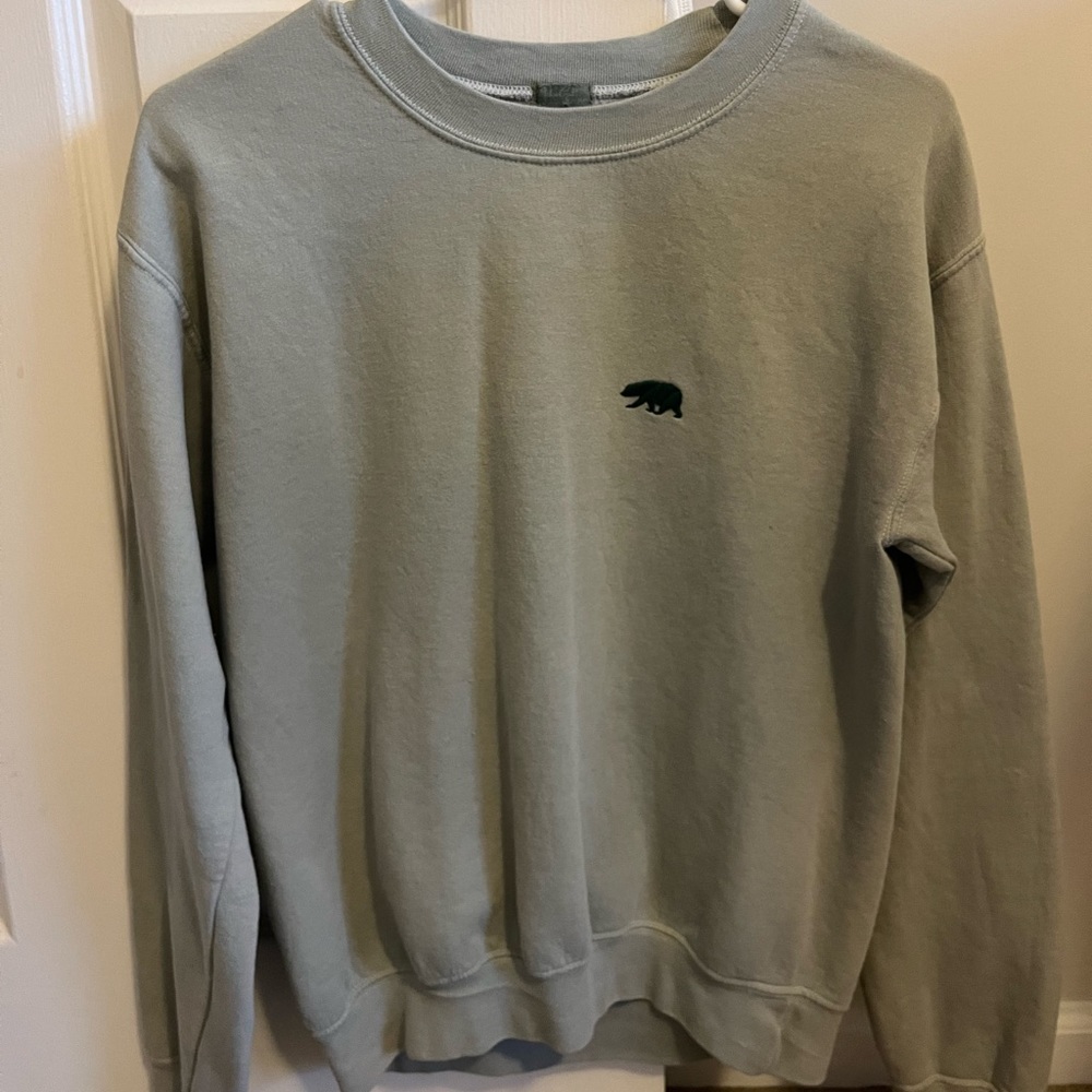 Brandy Melville sage green sweatshirt